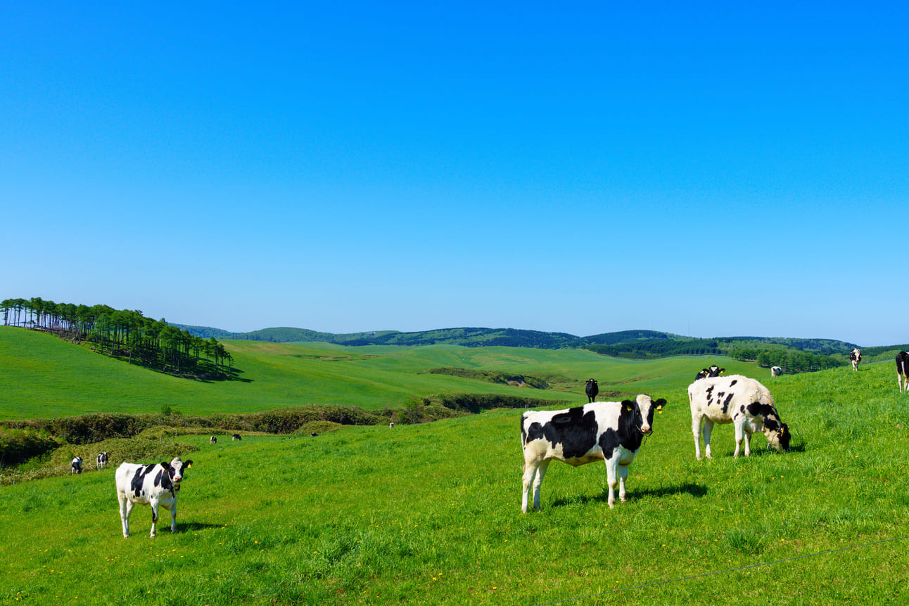 広大な北海道イメージ①